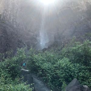 Meet your Posher, Phillip